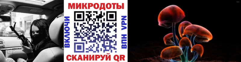купить  цена  Лобня  Псилоцибиновые грибы MAGIC MUSHROOMS 