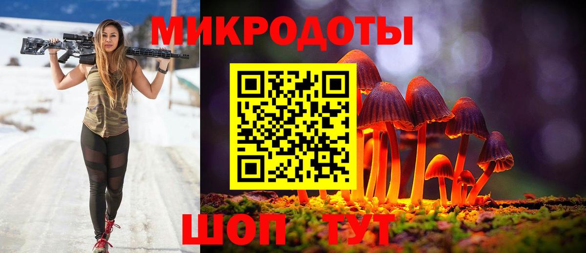Галлюциногенные грибы Psilocybe Лобня